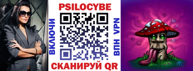 Псилоцибиновые грибы Psilocybine cubensis где можно купить Кочубеевское